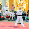 _mg_5364