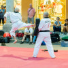 _mg_5371